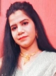 b pharma colleges in greater noida