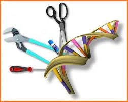 msc biotechnology colleges in noida